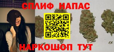 шишки Ливны